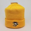 Pittsburgh Penguins -pipo, Youth
