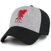 Liverpool FC Lippis Essential BK